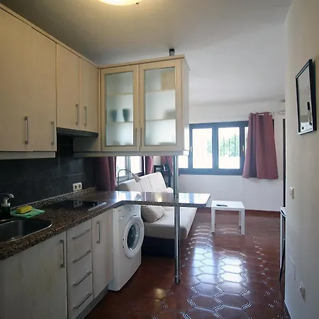 Sunny Pacos * 丰希罗拉